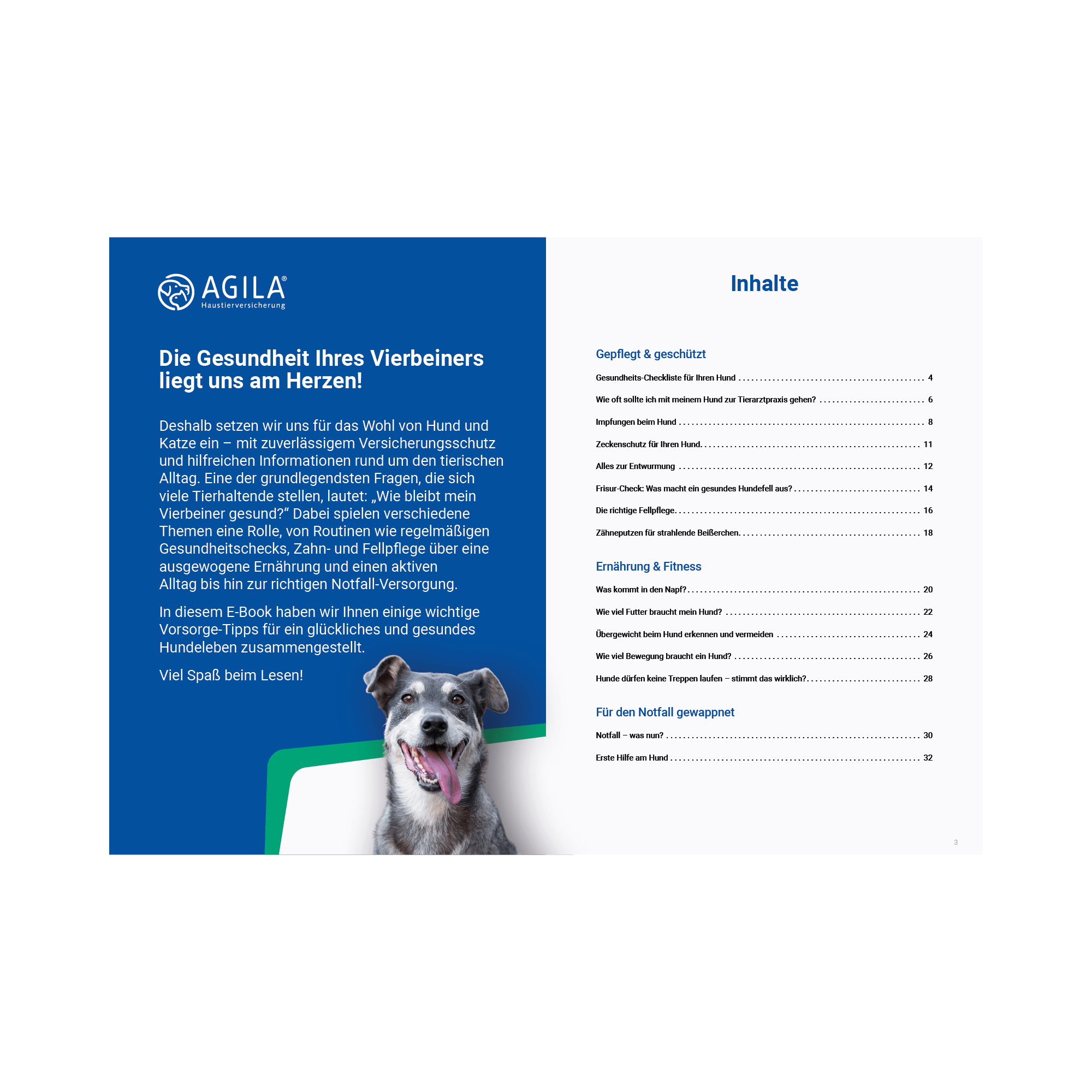 Gestaltungsmotiv für AGILA Haustierversicherung
