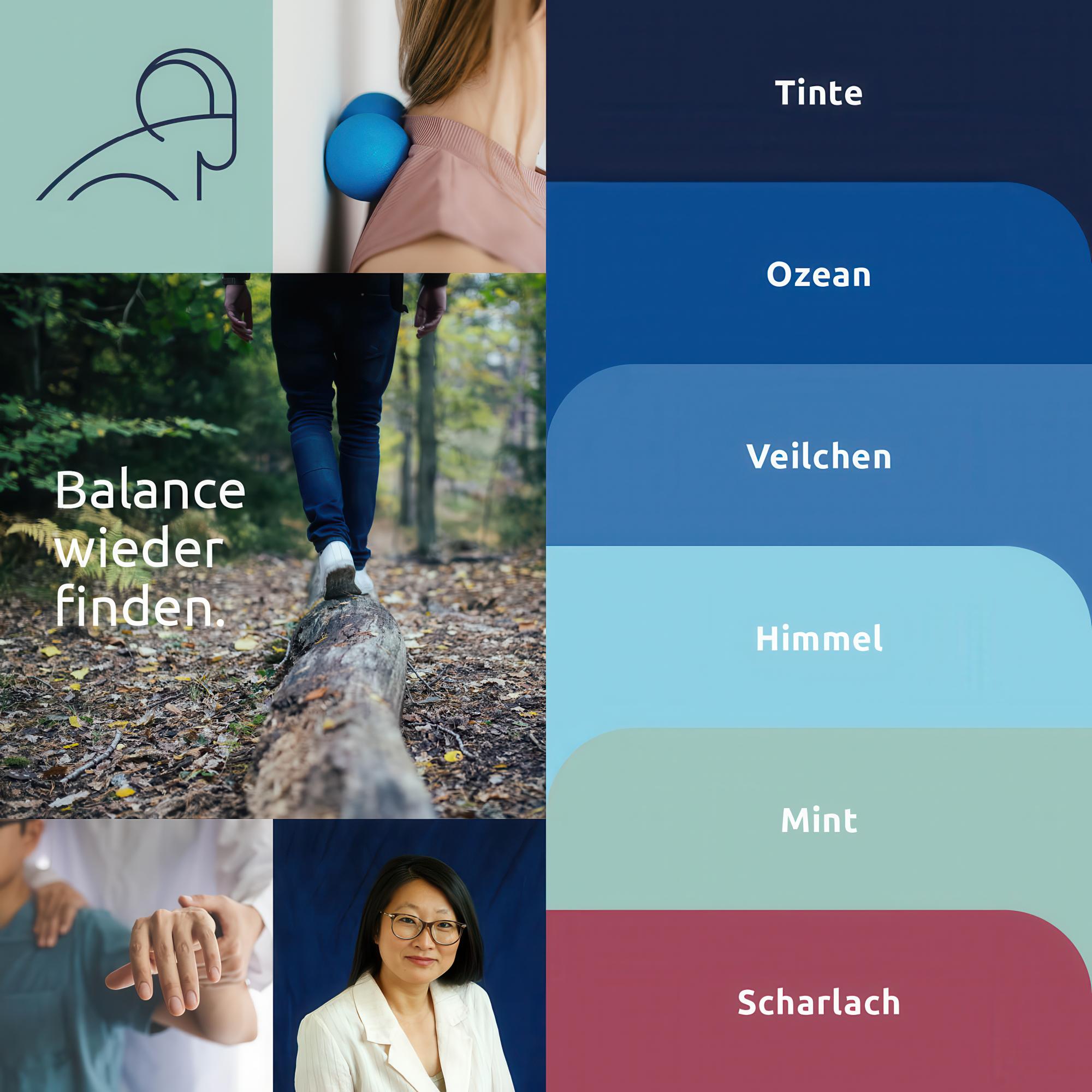 Titelbild Projekt Ergotherapie Bock Styleguide
