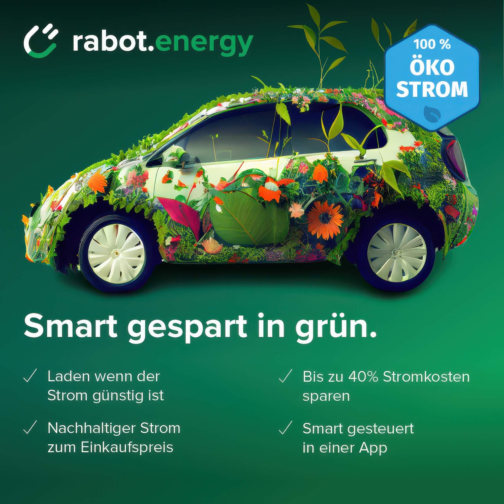 Kampagnenmotiv für Rabot Energy