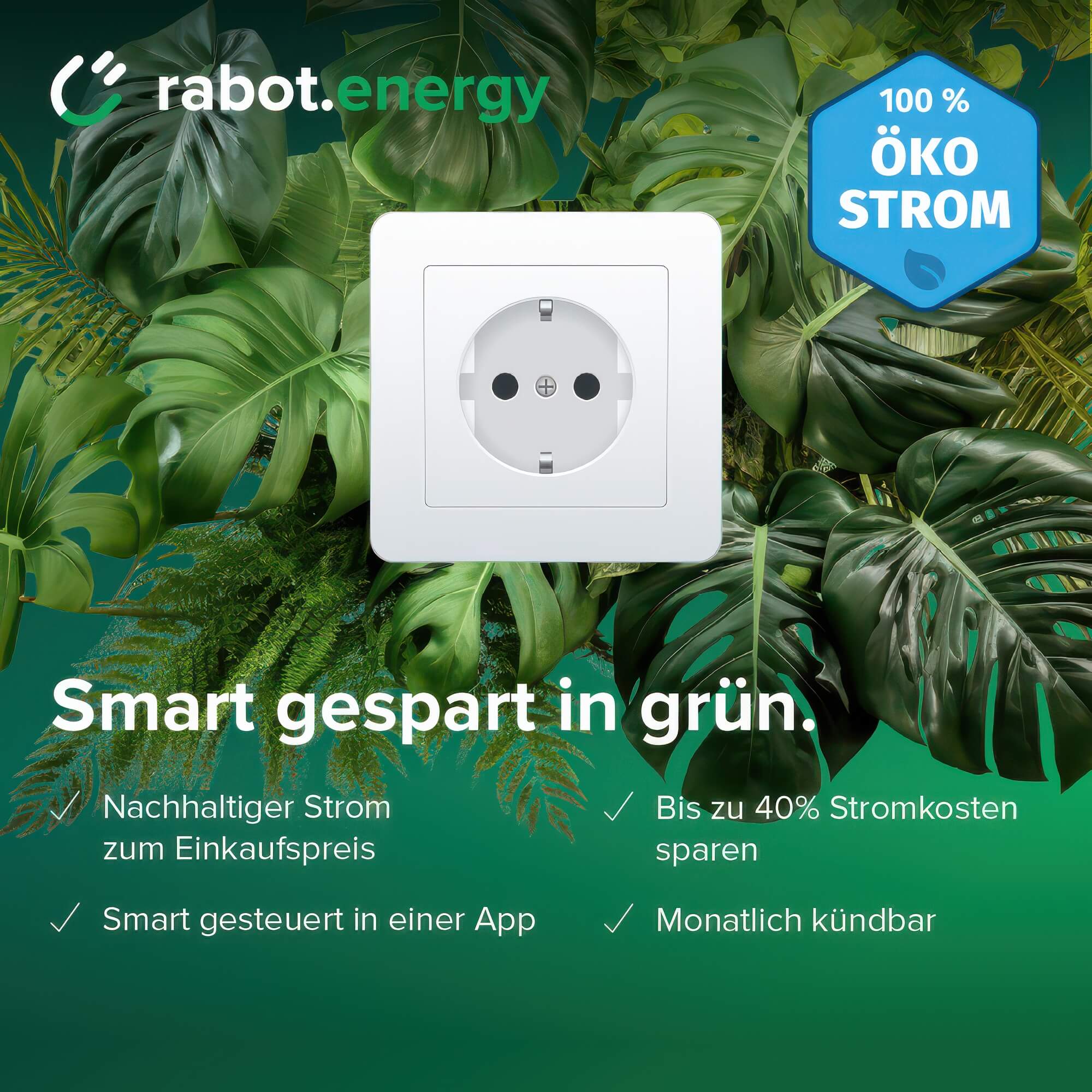 Kampagnenmotiv für Rabot Energy